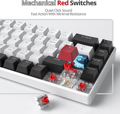 Tastiera da gioco meccanica al 65%,68 tasti con interruttori rossi lineari,tastiera meccanica cablata con retroilluminazione LED,tastiera ergonomica compatta per PS5/PS4/Xbox(68 Black_White)